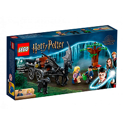Конструктор LEGO Harry Potter 76400 Карета Хогвартс и Фестралы