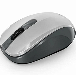 Мышь БП GENIUS NX-8008S белый/серый,тихая