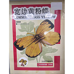 Пазл-3D трехмерная головоломка-модель насекомого Бабочка Желтушка