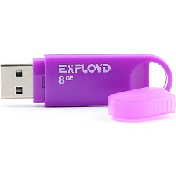 USB  8Gb Exployd 570 пурпурный