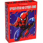 Пакет 31х40х11.5 см, упаковка, Человек-паук