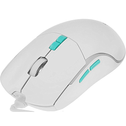 Мышь SMARTBUY RUSH X22 белая (SBM-752G-W)