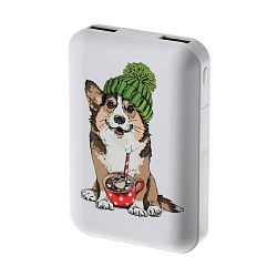 Внешний АКБ RITMIX RPB-10007 (10000mAh) (1USB) (2.1A) Corgi