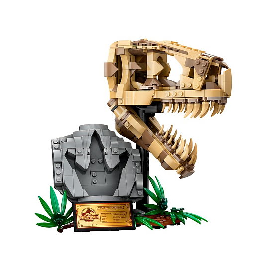 Конструктор LEGO Jurassic World 76964 Череп тираннозавра