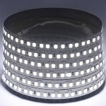 Лента светодиодная -14,4-180-12-6500K-IP20-1 year-5m LS2835 ЭРА /5