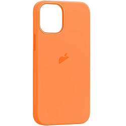 Задняя накладка Silicone Casе для iPhone 12 Pro Max Kumquat (MagSafe + анимация NFC) c LOGO