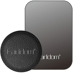 Пластина для магнитных держателей EARLDOM EH131 черный