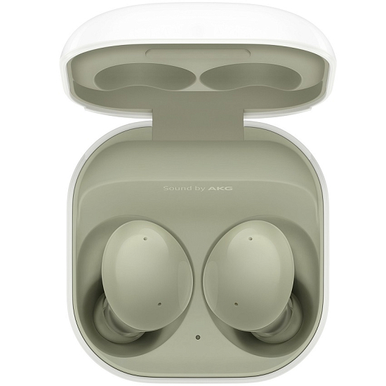 Наушники Samsung Galaxy Buds 2 (SM-R177) оливковый