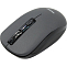 Мышь БП SMARTBUY 345AG серая
