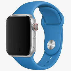 Силиконовый ремешок ISA Sport для Apple Watch 42/44mm Синий