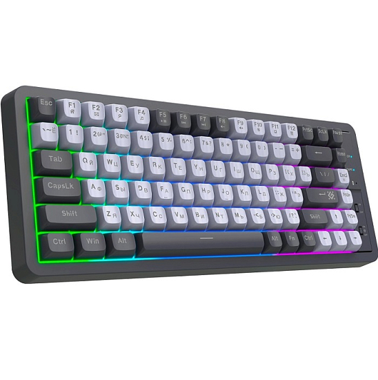 Клавиатура БП DEFENDER Maro GK-325 RU, серый/белый