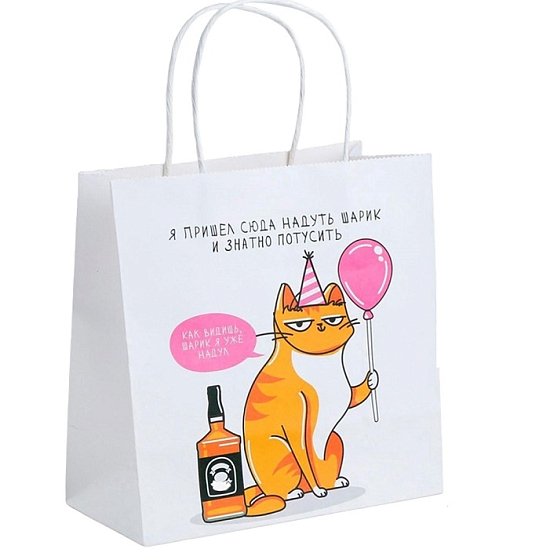 Пакет «Туса», 22 х 22 х 11 см 3907839