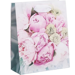 Пакет «Радости!», S 12 х 15 х 5.5