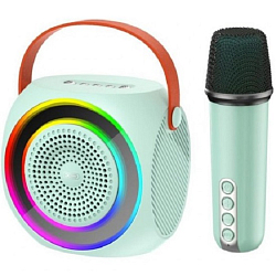 Колонка портативная XO-F42 мятный