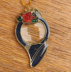 Лупа-подвеска "Горн" 5х, d=30мм   5117799