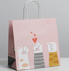 Пакет подарочный «Киса», 22 х 22 х 11 см      7150724