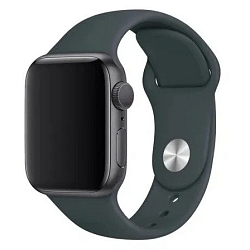 Силиконовый ремешок ISA Silicone для Apple Watch 38/40/41mm Серый