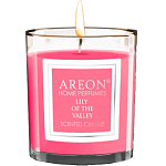 Ароматическая свеча AREON Under the Mystic Tree, 120гр