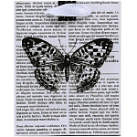 Пакет ламинированный вертикальный «Бабочка», S 12 × 15 × 5,5 см