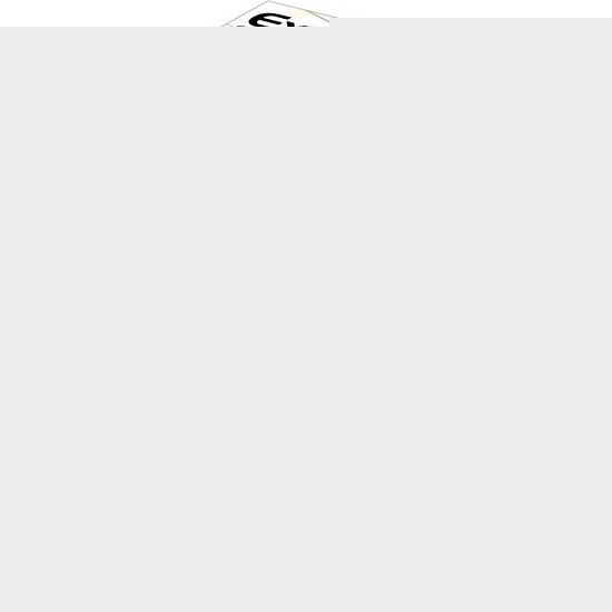 Ароматизатор TASOTTI EXCELLENT Cocount