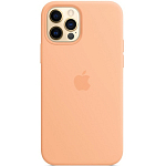 Силиконовый чехол SILICONE CASE для iPhone 12/12 Pro Cantaloupe (MagSafe + анимация NFC) c LOGO
