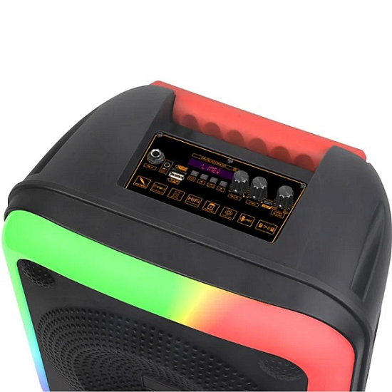 Колонка портативная NDR-W0012 черная