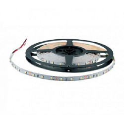 Лента светодиодная  5.0м IP65--4.8-CW белый