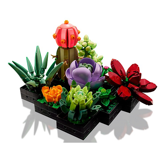 Конструктор LEGO 10309 Суккуленты