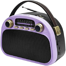 Радиоприёмник RITMIX RPR-040 LAVENDER