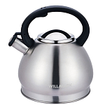 Чайник со свистком WILLMARK WTK-4221SS матовый