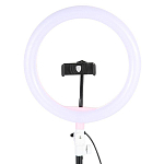 Светодиодное кольцо-подсветка 26см ZD666