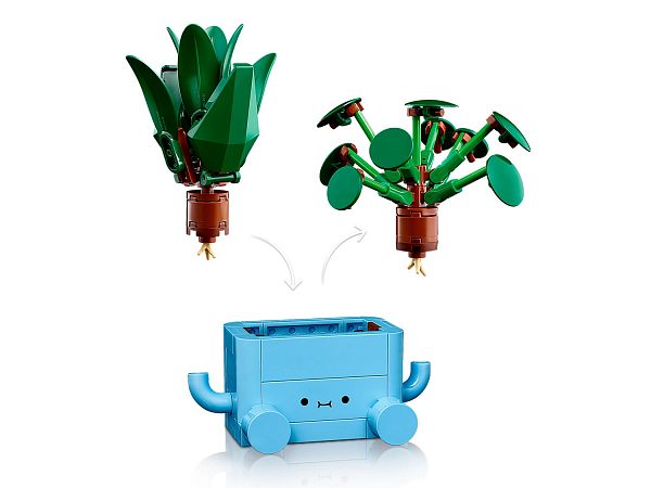 Творческий сад в комнате