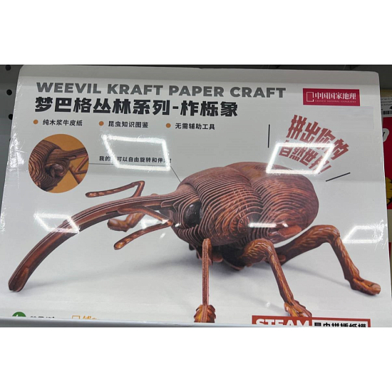 Пазл-3D трехмерная головоломка-модель насекомого Желудевый долгоносик