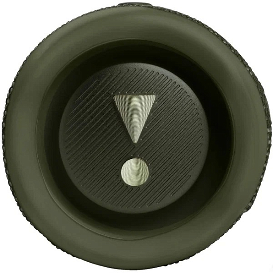 Колонка портативная JBL Flip 6 Green