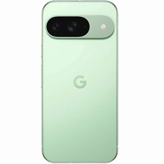 Смартфон Google Pixel 9 256 Wintergreen (US)