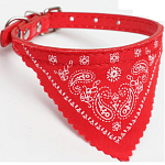 Ошейник с косынкой 32 х 1 см, ОШ 22-28, красный