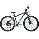 Велосипед TECH TEAM Sprint 29"х21 серый