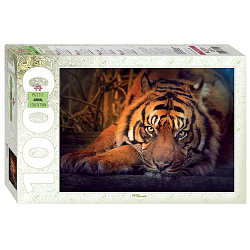 Пазл puzzle 1000 "Сибирский тигр"