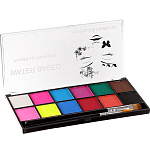 Аквагрим профессиональный для лица и тела, 12 цветов, с 2 кисточками