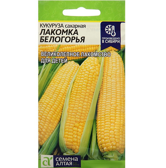 Семена Кукуруза Лакомка Белогорья сахарная Аэлита Ц x10