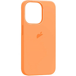 Силиконовый чехол SILICONE CASE для iPhone 15 Pro Max (MagSafe + анимация NFC Clear) c LOGO Orange Sorbet