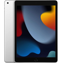 Планшет iPad 10.2" (2021) 64Gb Wi-Fi Silver (MK2L3)