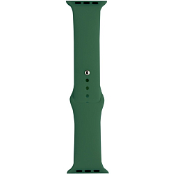 Силиконовый ремешок HOCO WA01 Flexible для Apple Watch 38/40/41mm alfalfa