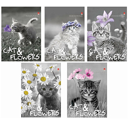 Блокнот МАЛЫЙ ФОРМАТ А6, 40л, гребень, ламинированный картон, клетка, Альт, Котята, 5 видов,3-40-028