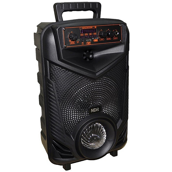 Колонка портативная NDR-P44, черная