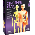 Набор для опытов «Строение тела», анатомия человека 2772939