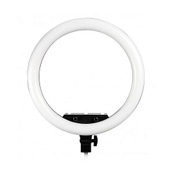 Светодиодное кольцо-подсветка 16см SMARTBUY (SBL-TTL-6)