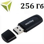 USB 256Gb