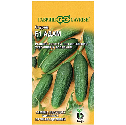 Семена Огурец Адам Гавриш Ц