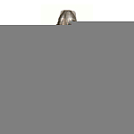 Чернила CACTUS CS-EPT00S14A черный 70мл для Epson L1110 Ecotank/L3100/L3101/L3110/L3150/L3151